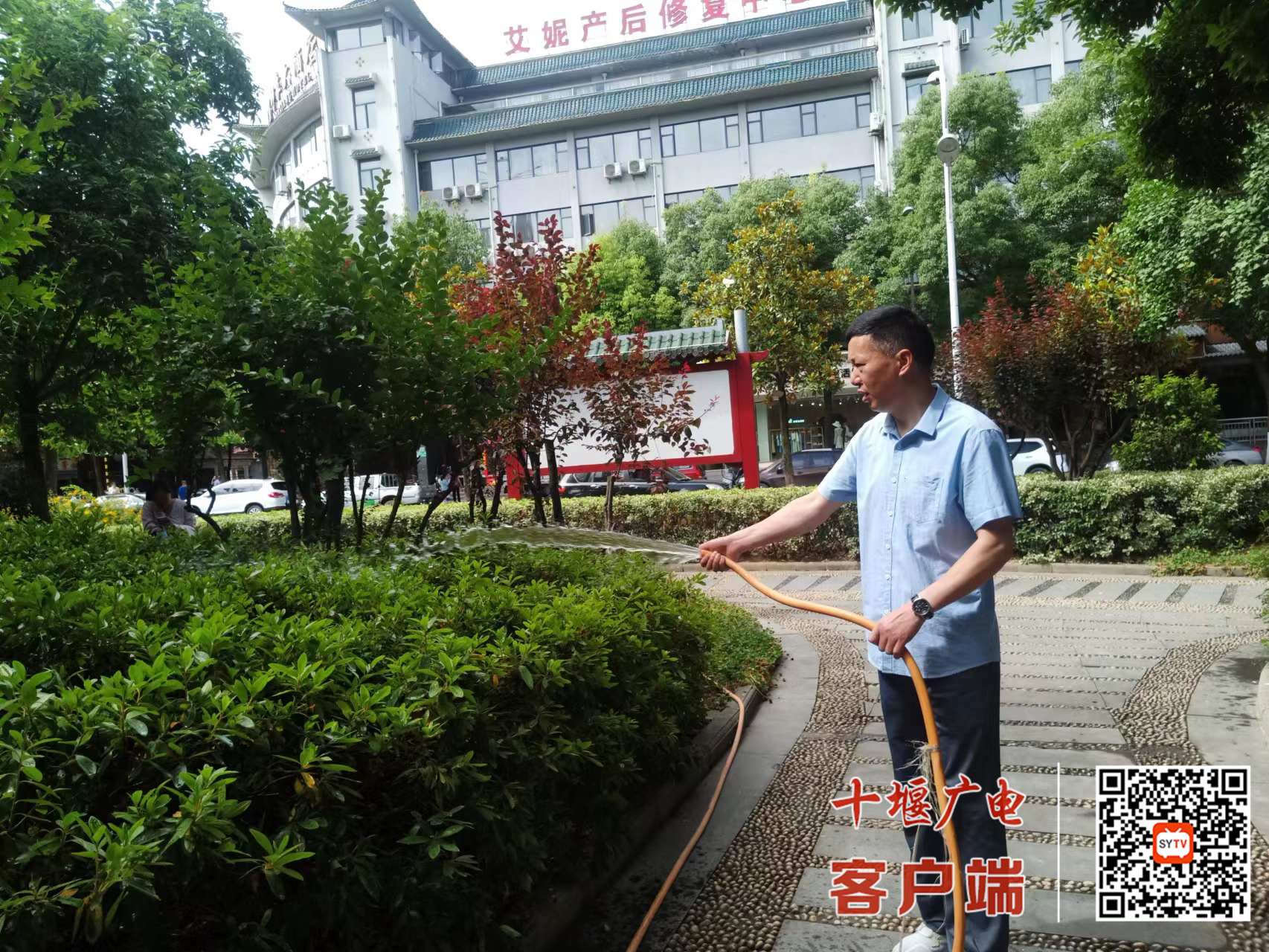 图片1_副本