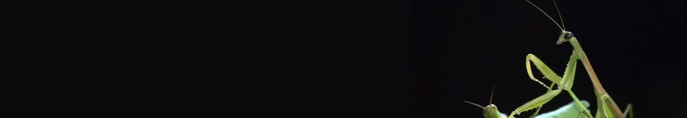 640 (1)