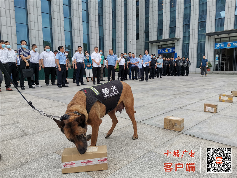 微信图片_20220608162945