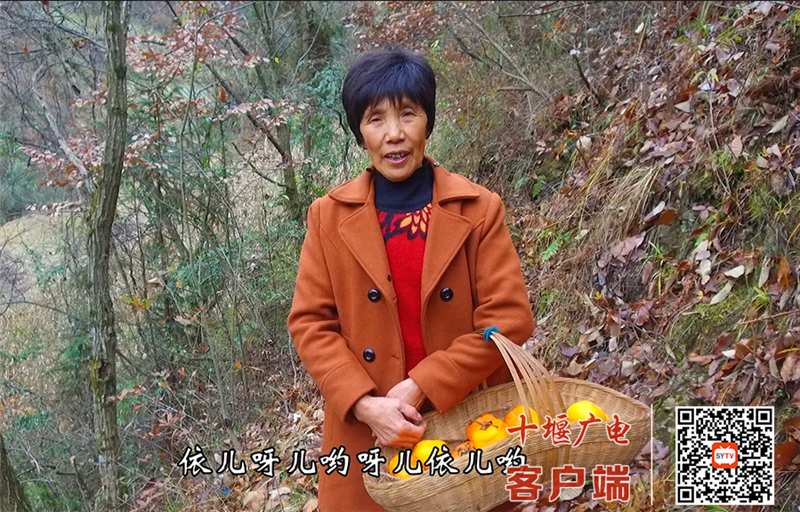 杨福凤
