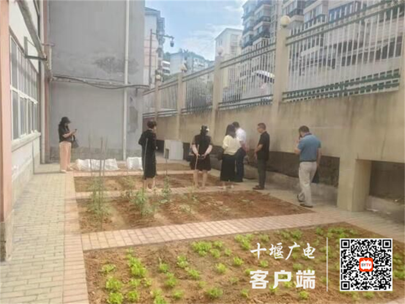 QQ图片20220609205542