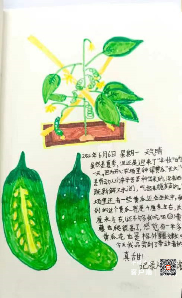 82ba4bc67c617cd083ae6fda6875383_副本