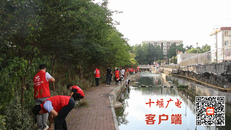 QQ截图20220617091830