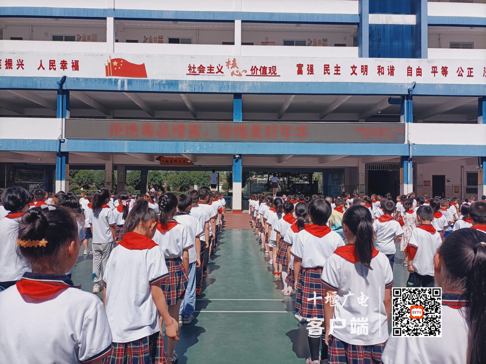 禁毒电子屏图_副本