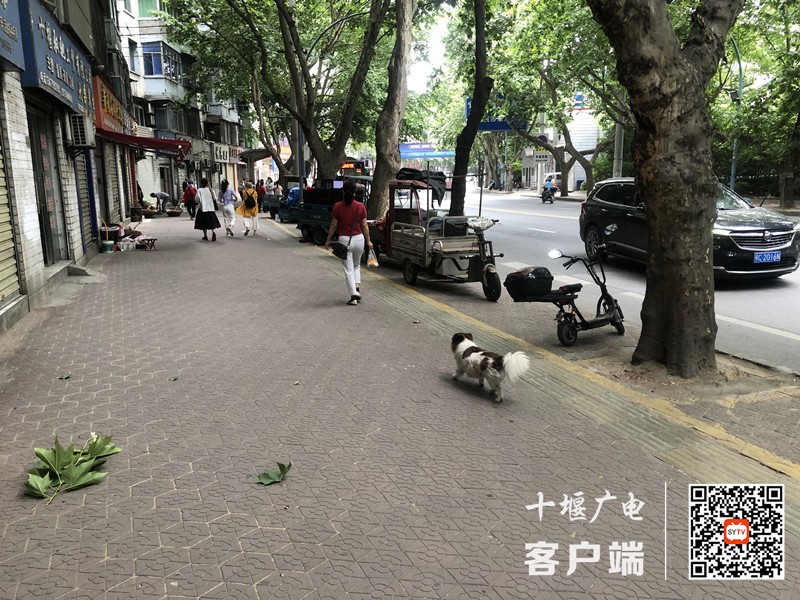 04.车城西路东风供应处公交站附近存在遛狗不牵绳的不文明行为