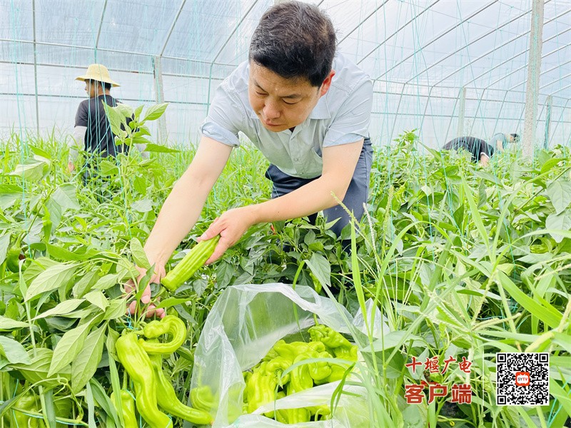 微信图片_20220623104621
