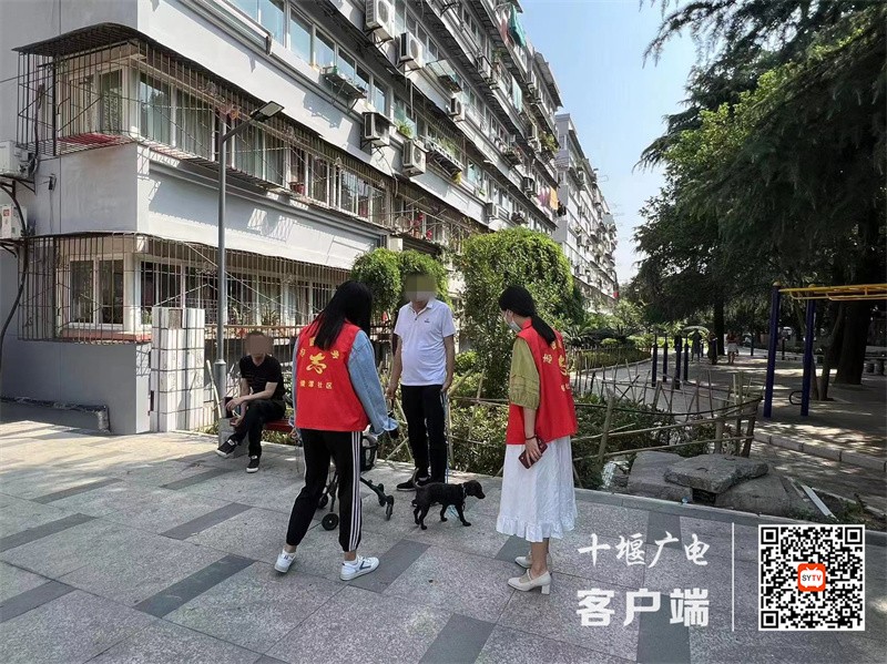 镜潭路存在遛狗不牵绳的不文明行为