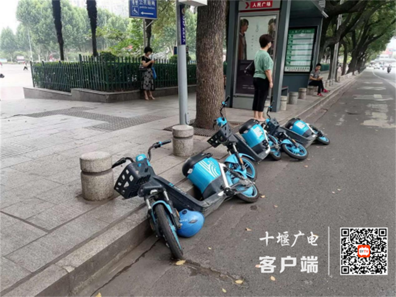 公园路人民广场旁存在共享单车乱停放的不文明行为