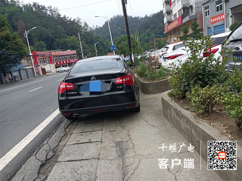 图片1