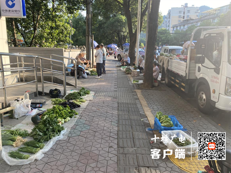 汉江北路东风二桥头存在占道经营的不文明行为