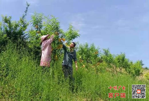 360截图20220725173338350_副本