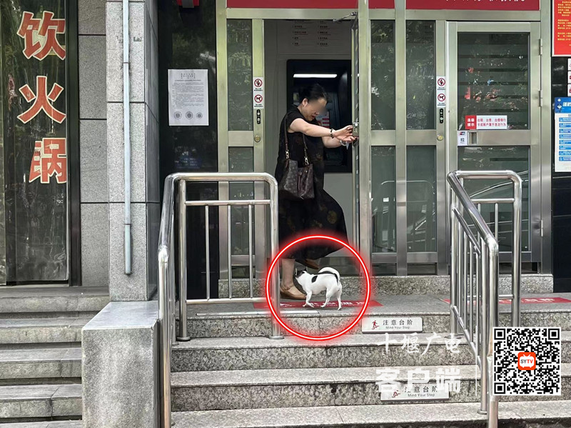 03公园路存在遛狗不牵绳的不文明行为