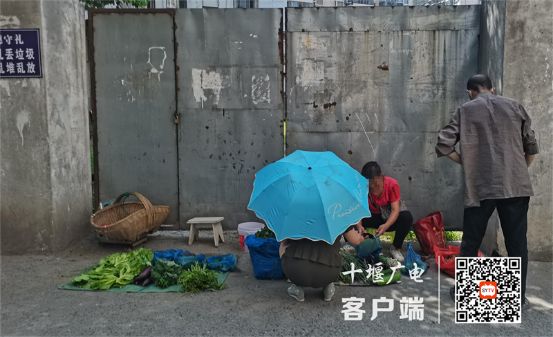 袁家沟社区镜潭丽苑小区旁存在流动摊贩、占道经营的不文明行为