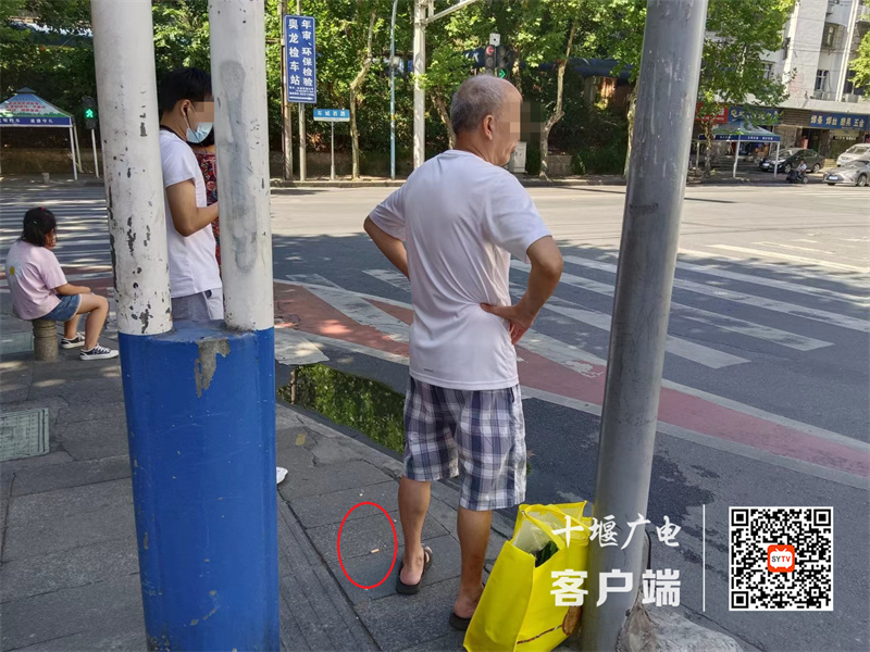 凯旋大道车城西路交汇处存在乱丢烟头不文明行为