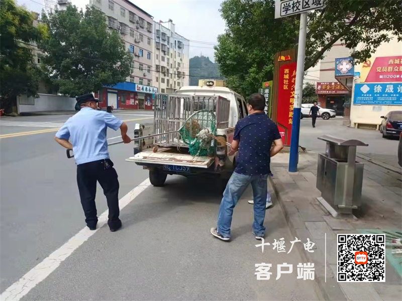 图片1