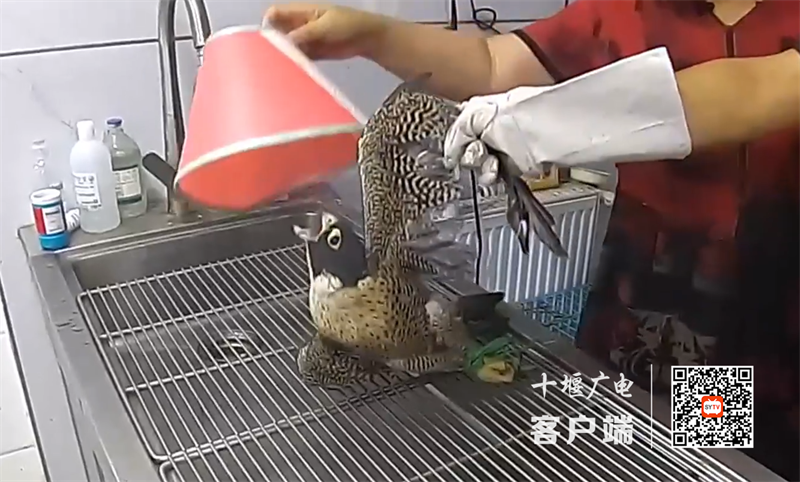 QQ截图20220729095356