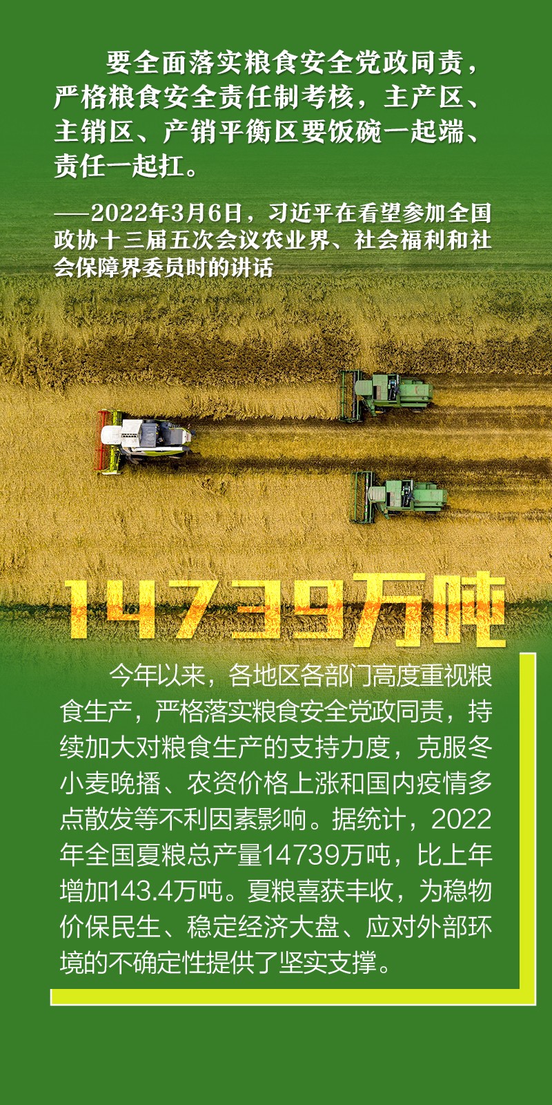 2022080417502699056