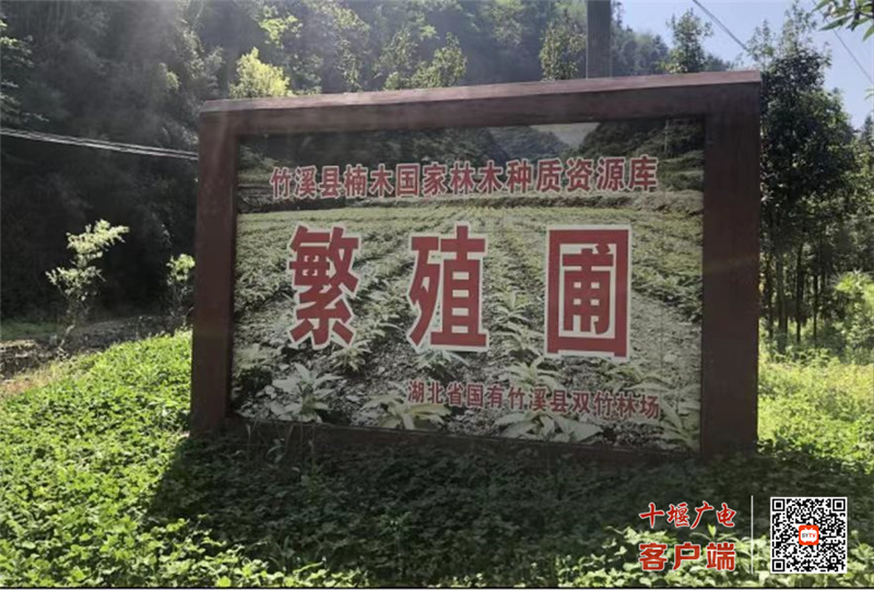 微信图片_20220809172607