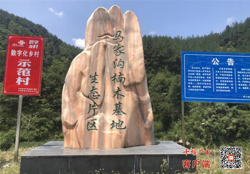 微信图片_20220809172614