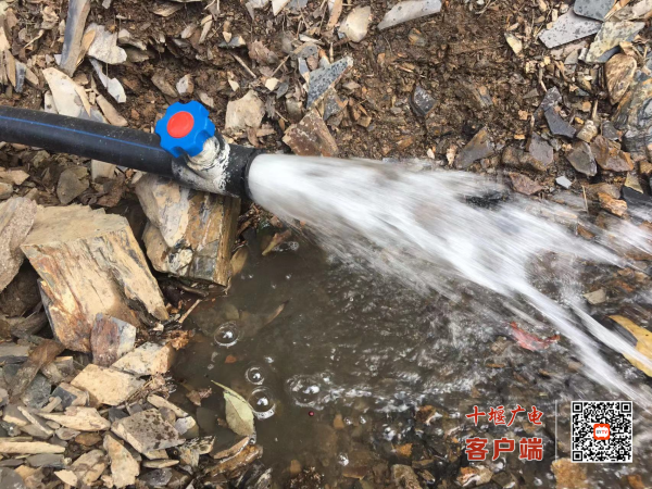 图片3