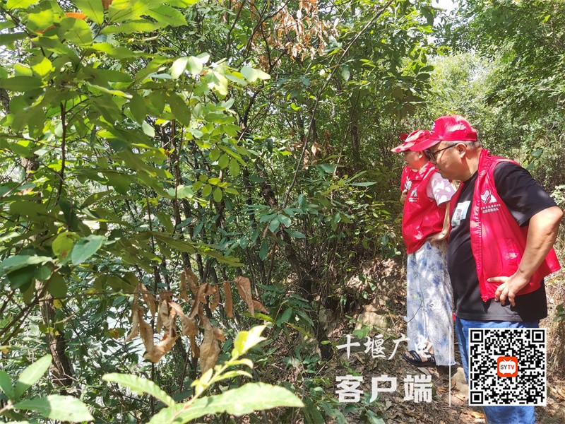 QQ图片20220812224421