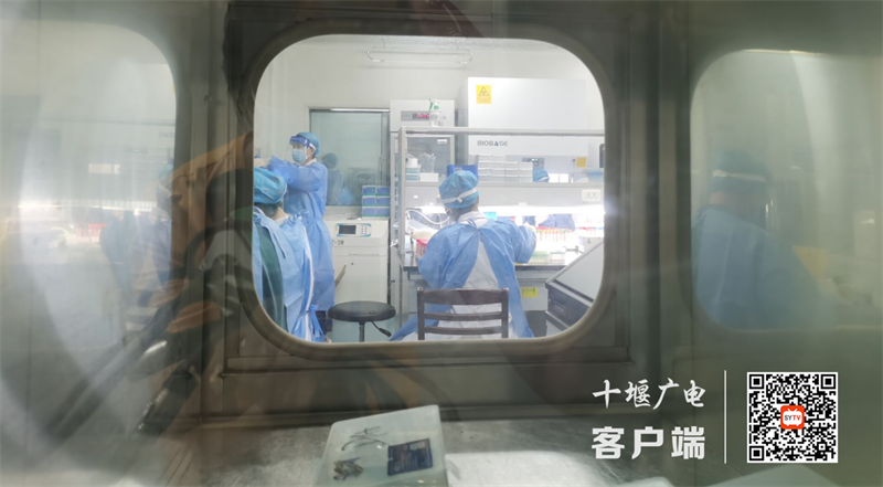 QQ截图20220816140743