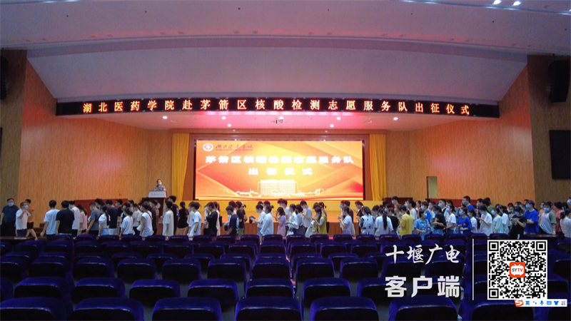微信截图_20220816202813