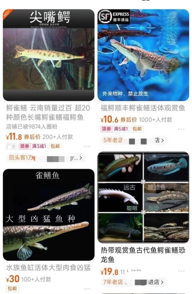 88F0313887CBD008B5AC724760C1D31365F250C0_size258_w1200_h1833.webp