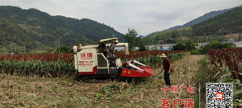 机械化收割