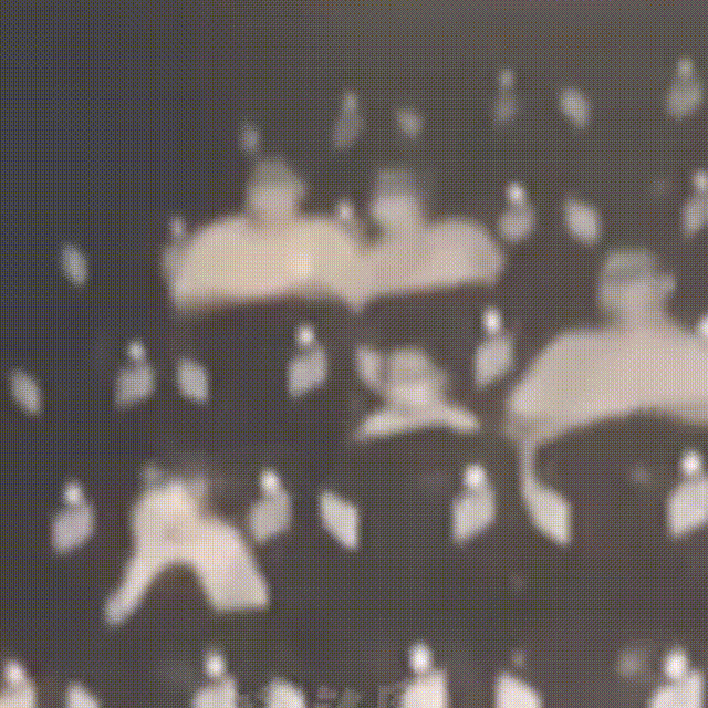 1661504468892374