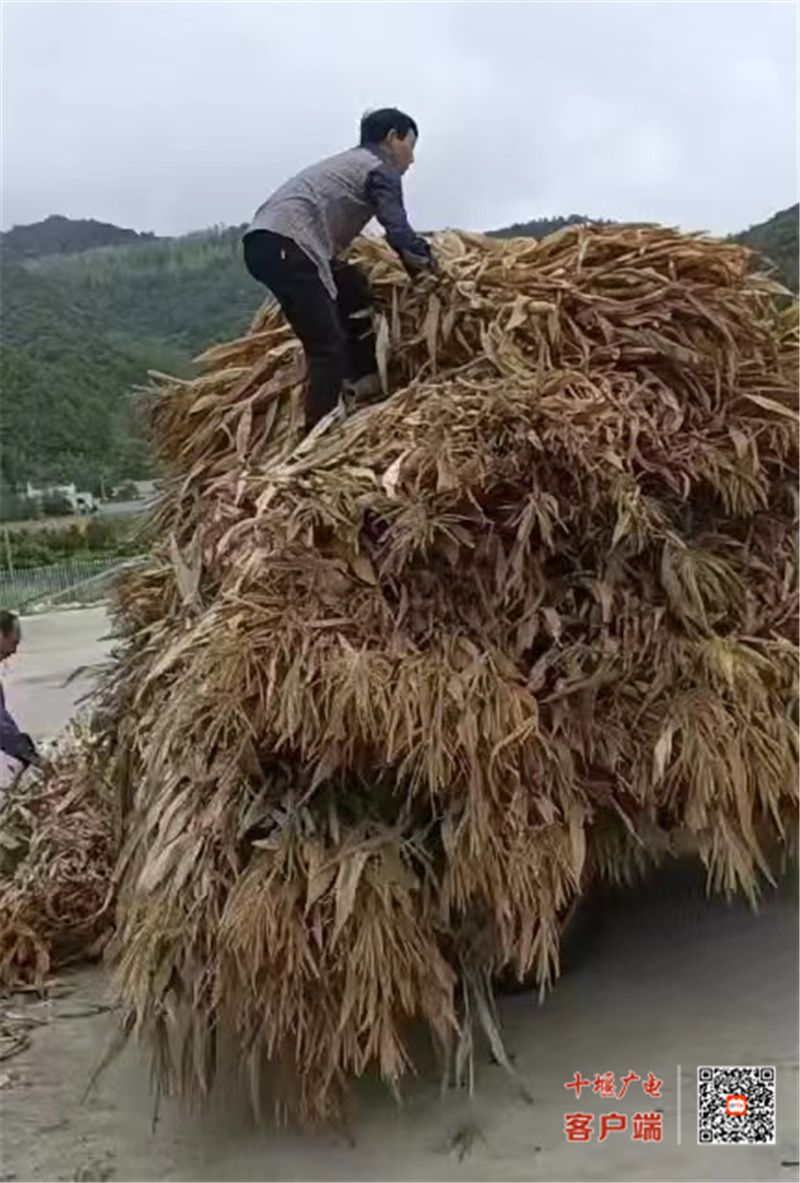 微信图片_20220830184055