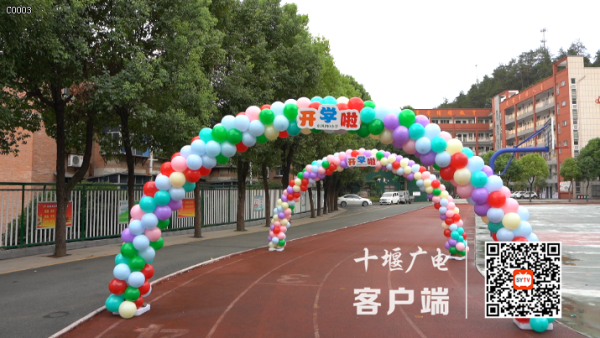 d8773a20fa0945444506ebaedb4a212