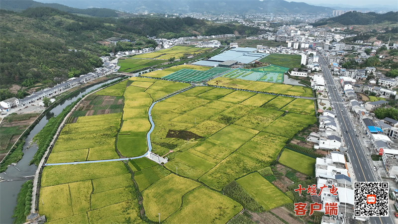 DJI_0093[00_00_33][20220904-130100]_副本