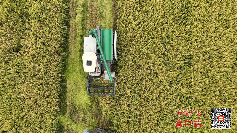 DJI_0069[00_00_07][20220904-130118]