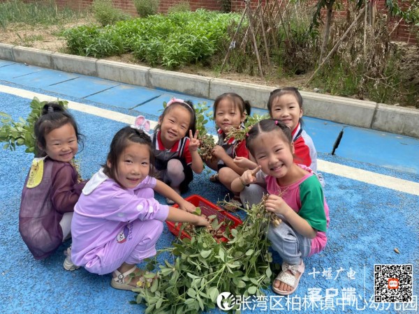 f3da2f055e6edad7b059902f40b7165_副本