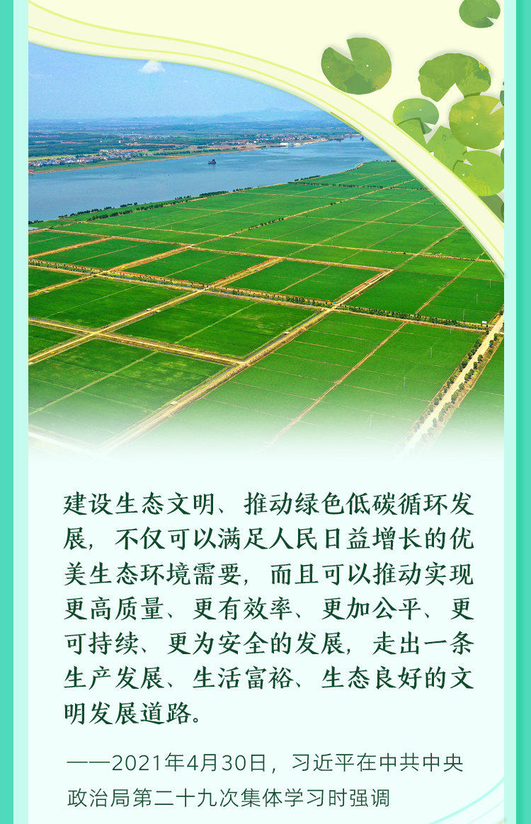 aa52c5dafa0191662646520213630970_03