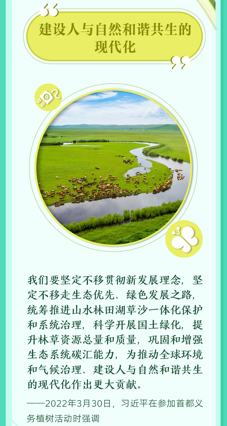 aa52c5dafa0191662646520213630970_05
