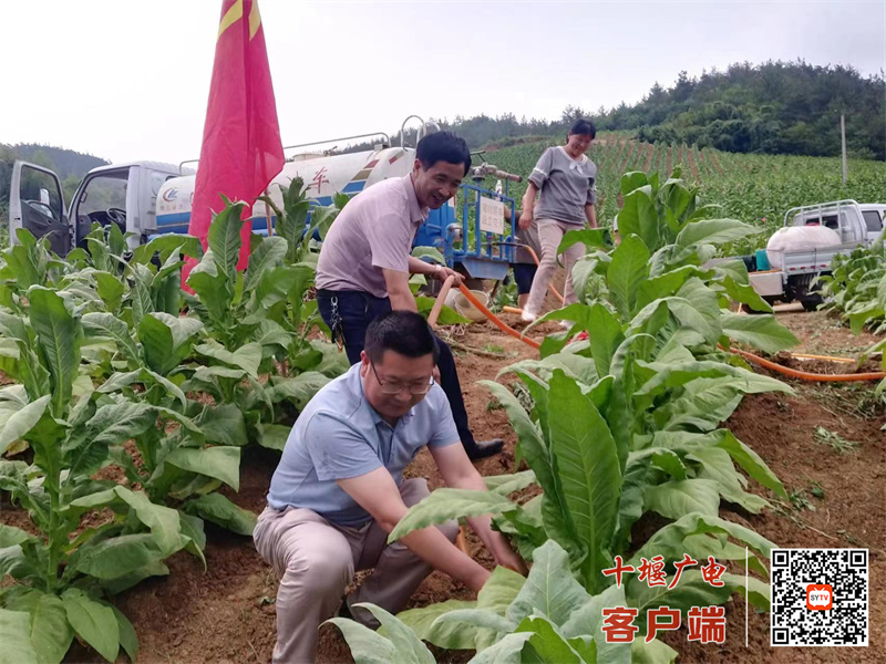 31_副本1