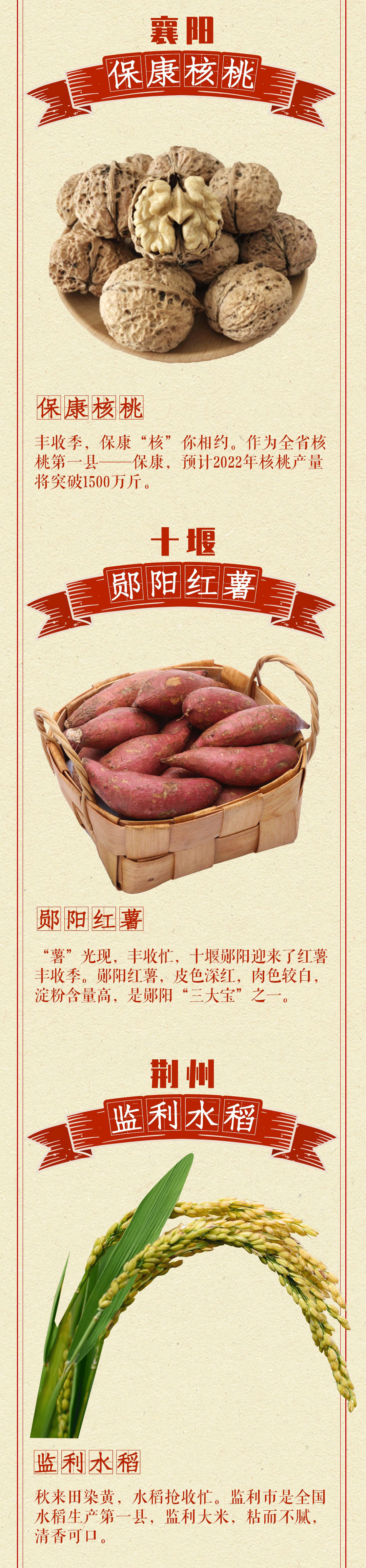 8ca92347dac43a91acd37b8017d1cf00_02