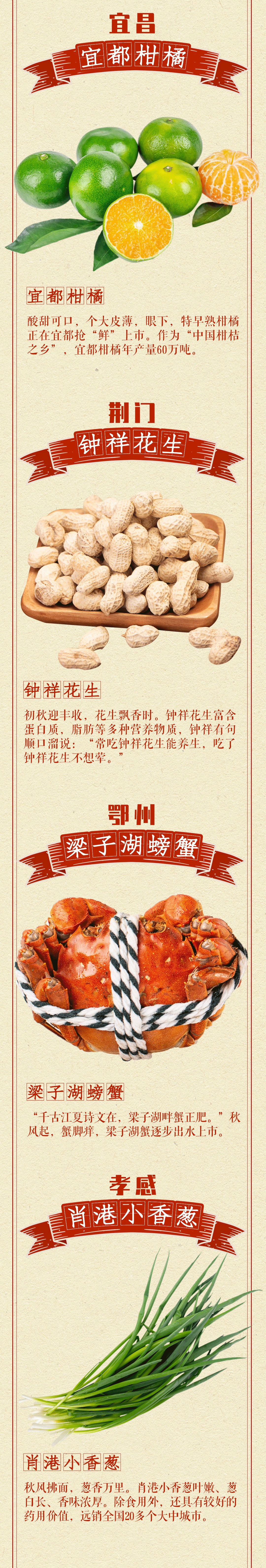 8ca92347dac43a91acd37b8017d1cf00_03