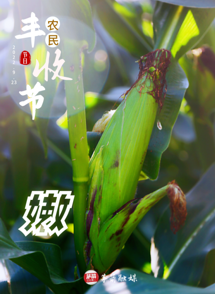 f518bdf5-7df4-4263-bd52-1756db8496bd