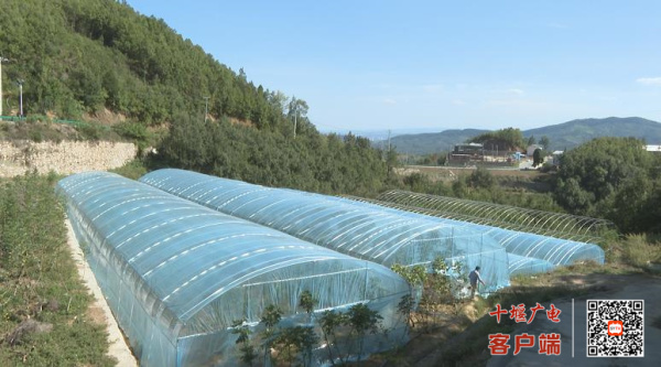 360截图20220927135554897_副本