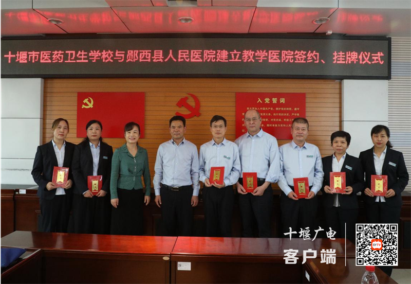 图片3_副本