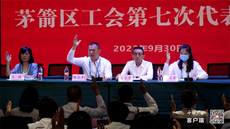 表决