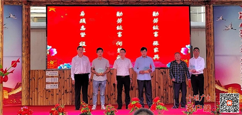 图片2