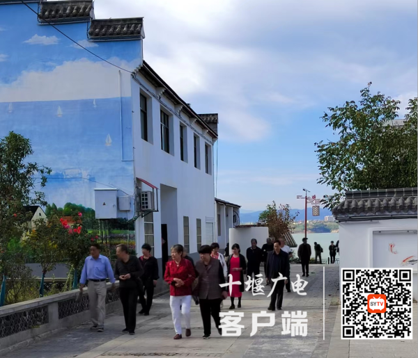 图片3
