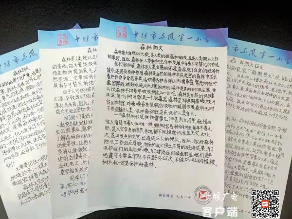 f1fce8aff143bf6861d4e742745d818_副本