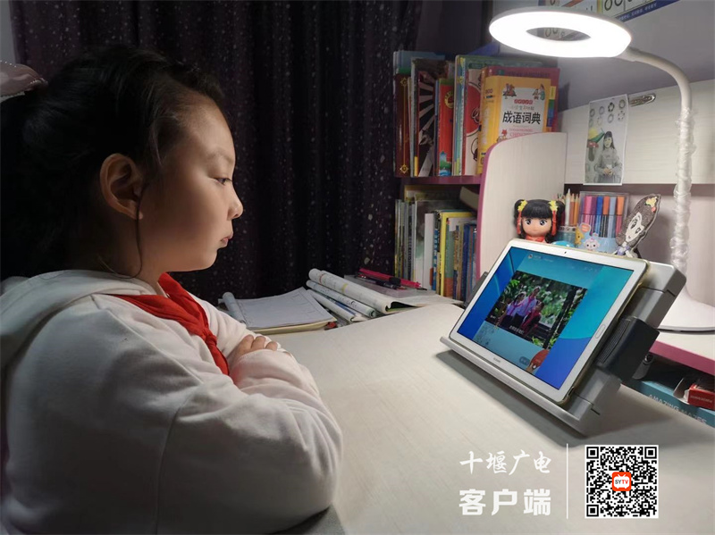 微信图片_20221015181714_副本