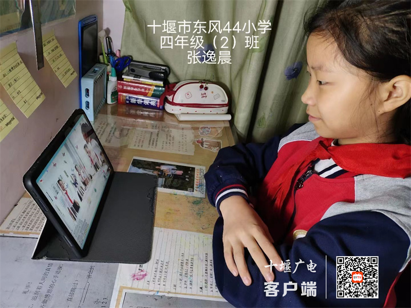 微信图片_20221015181711_副本