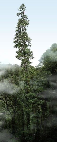 a_766491017829412864